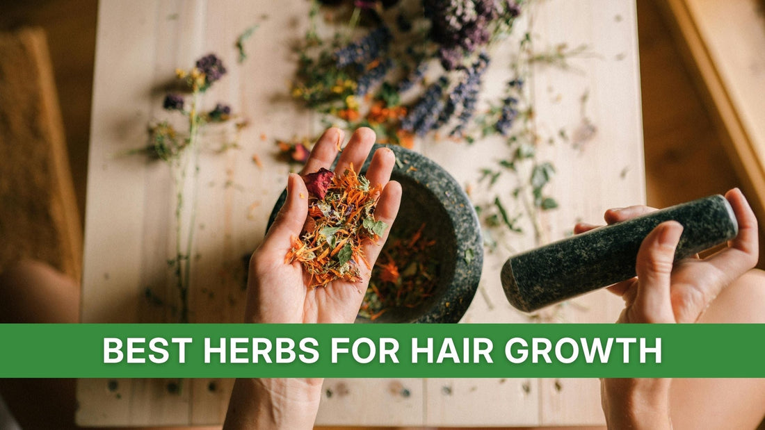 best herbs for hair growth
