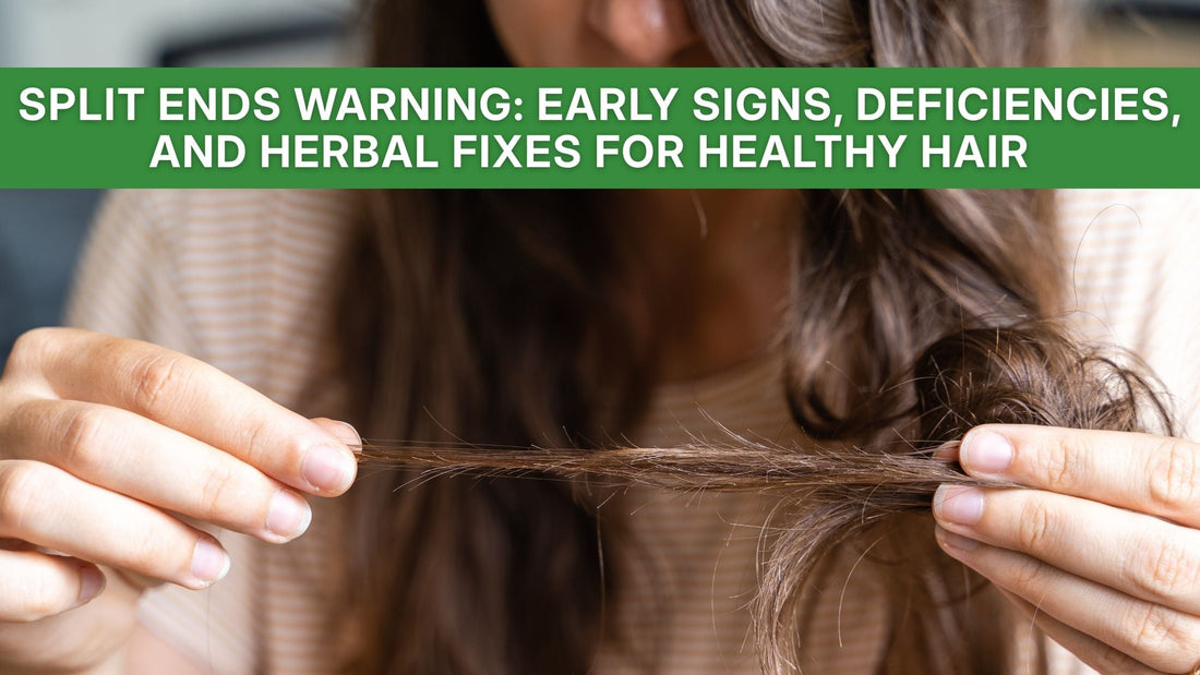 Split Ends Warning: early signs, deficiencies, and herbal fixes for healthy hair