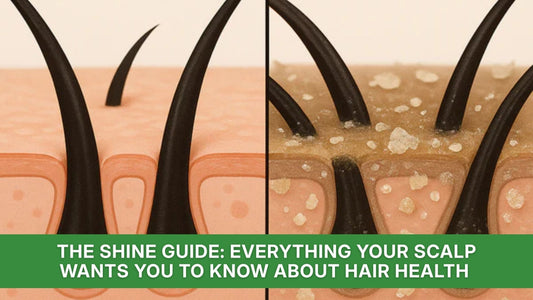 The Shine Guide: Everything Your Scalp Wants You to Know About Hair Health
