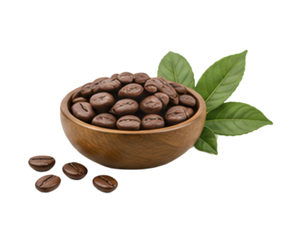 Coffee Seed Extract