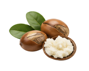 Shea Butter