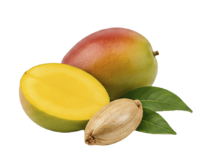 Mango Seed Butter