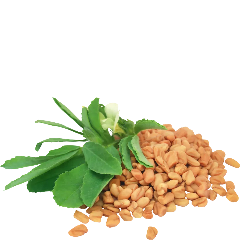 Retrieving data. Wait a few seconds and try to cut or copy again.