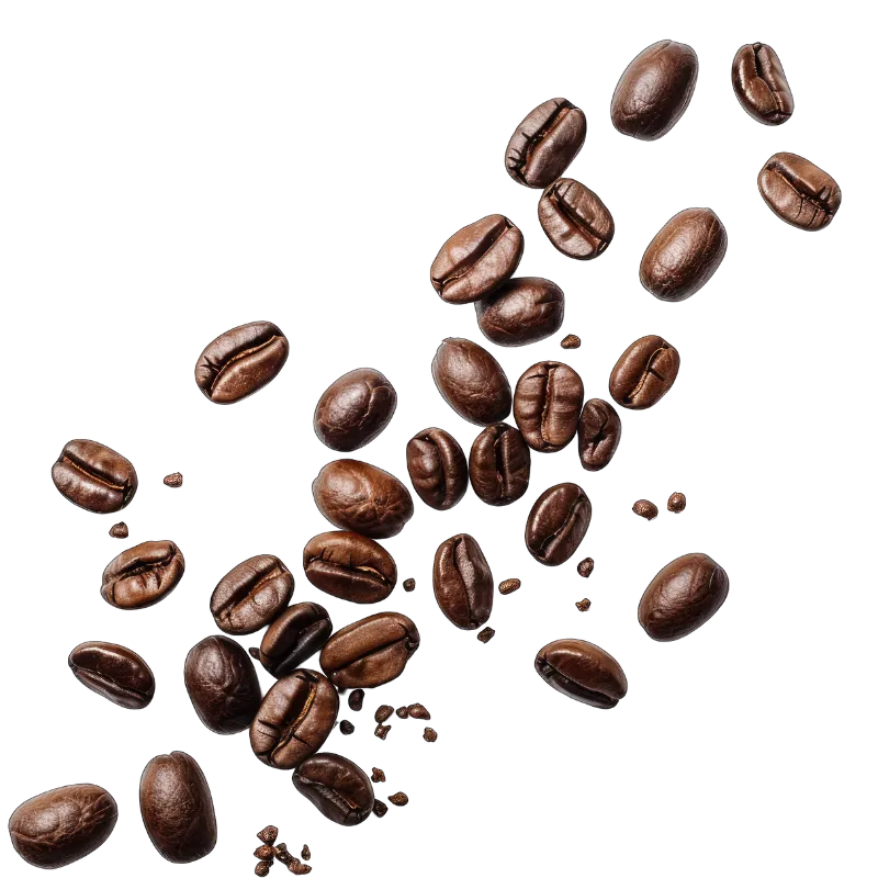 Scattered roasted coffee beans on white background