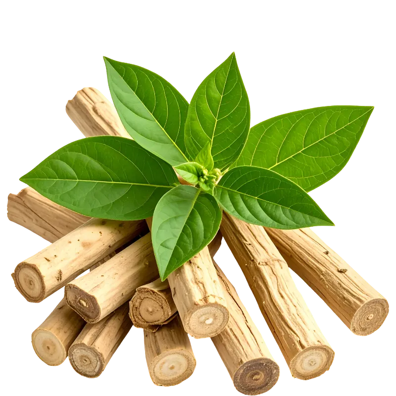 Ashwagandha roots with green leaves