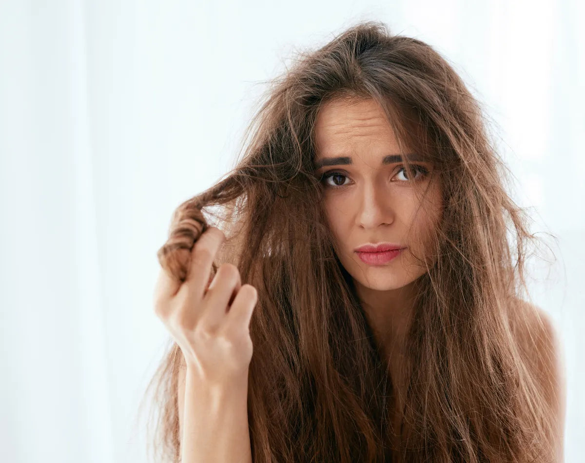 Tame Frizz & Hydrate Dry Hair