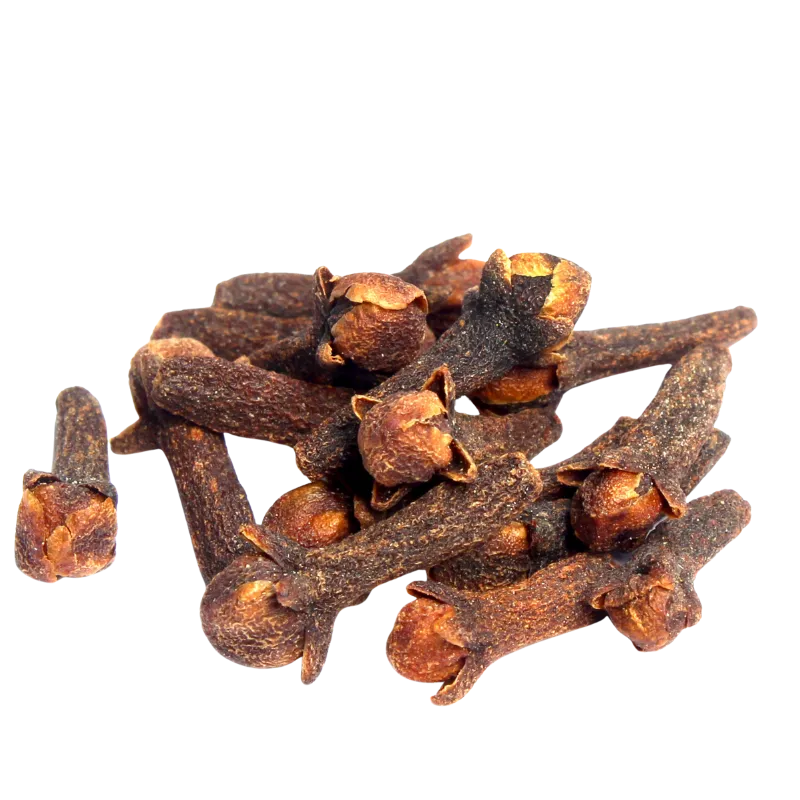 Whole dried cloves on white background