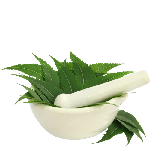 Neem